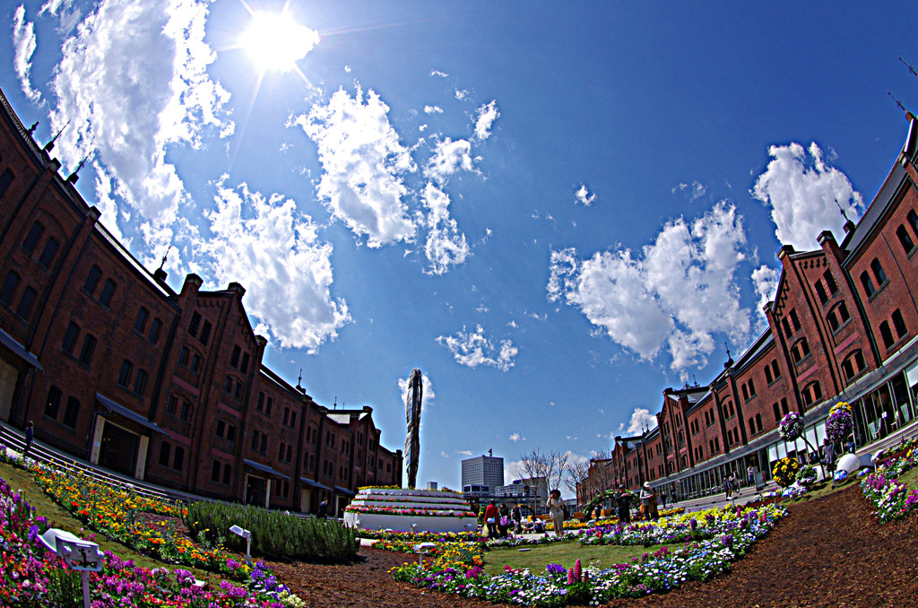 赤レンガ花畑 青空見上げて By S Noel Id 写真共有サイト Photohito