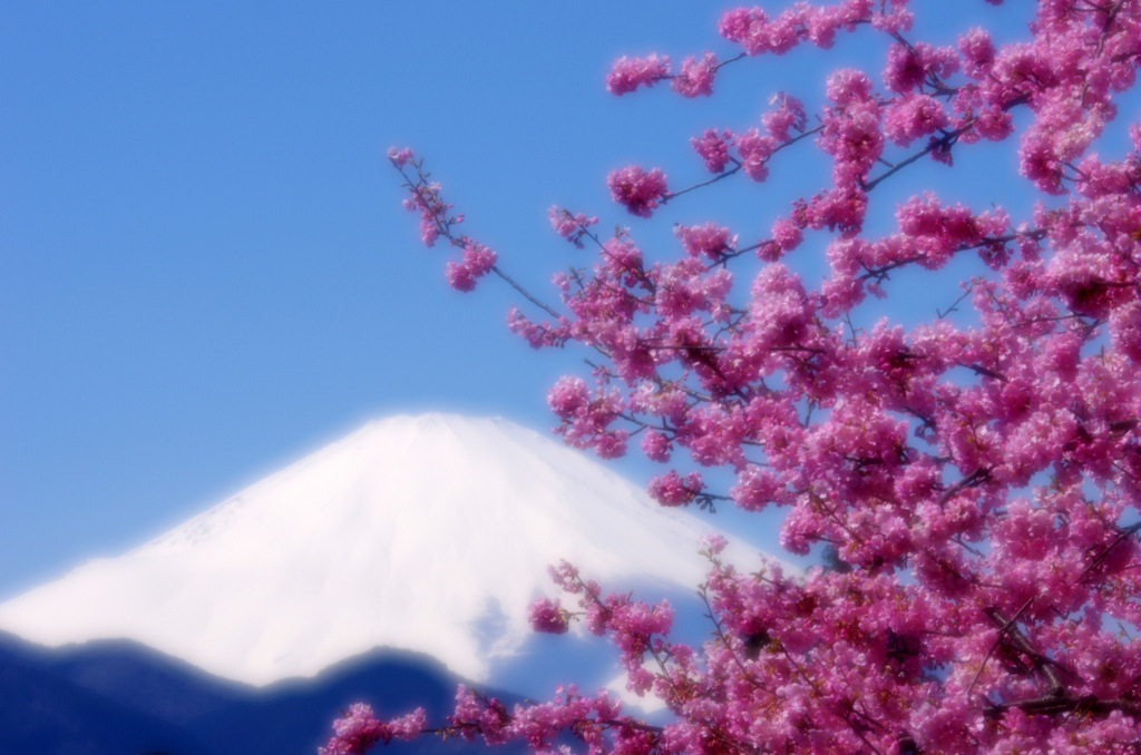 春うらら