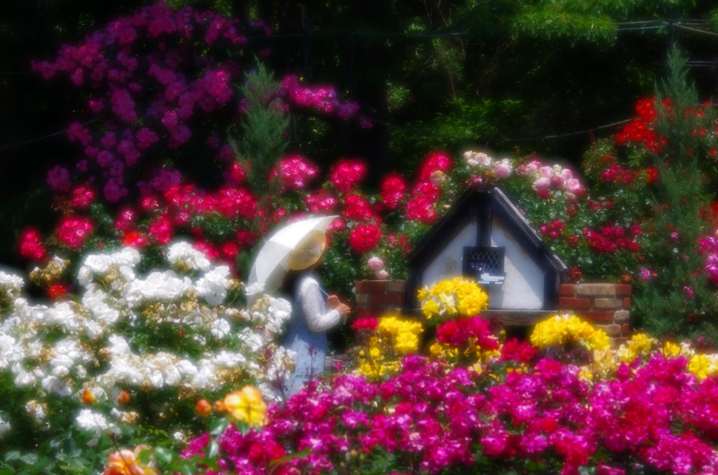 薔薇の園
