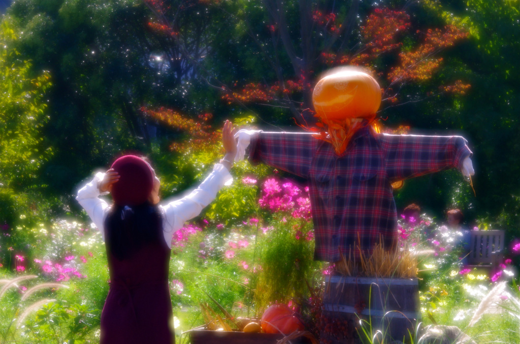Hello Halloween!! 