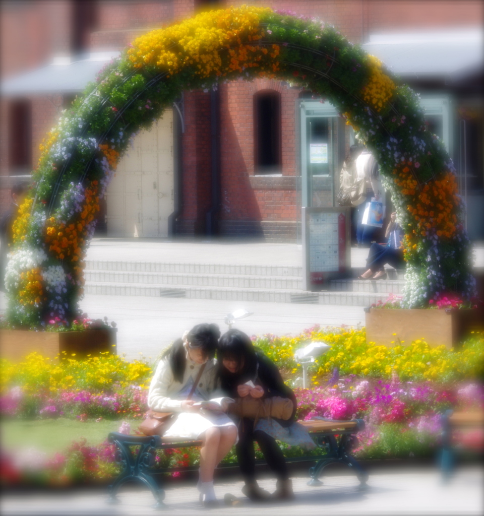 赤レンガ花畑10（ギャラリー用）