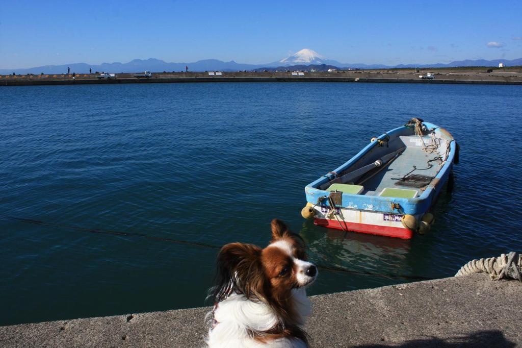 湘南日和