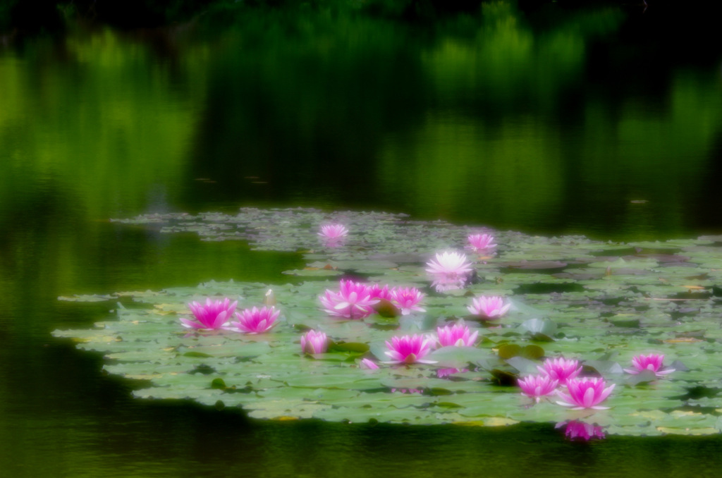 天上の花