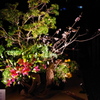 IKEBANA.