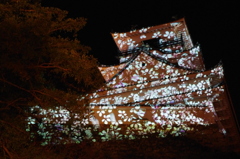 桜舞う高知城