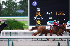 馬が走る！！