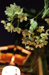 夜桜が恋を叶えてくれる☆