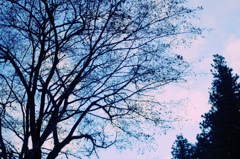 2013秋*momo*
