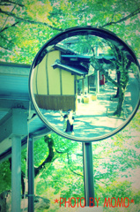 鏡の中の。。☆