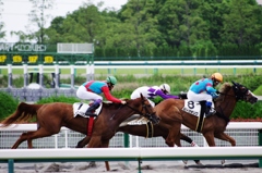 馬と騎手