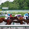 馬と騎手