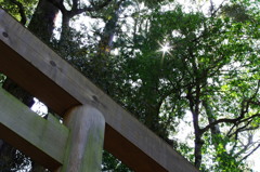 お伊勢さんにて