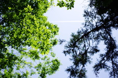 夏空