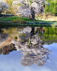 千鳥別尺の化粧鏡