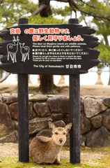 僕を守って