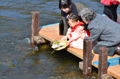 桃の節句