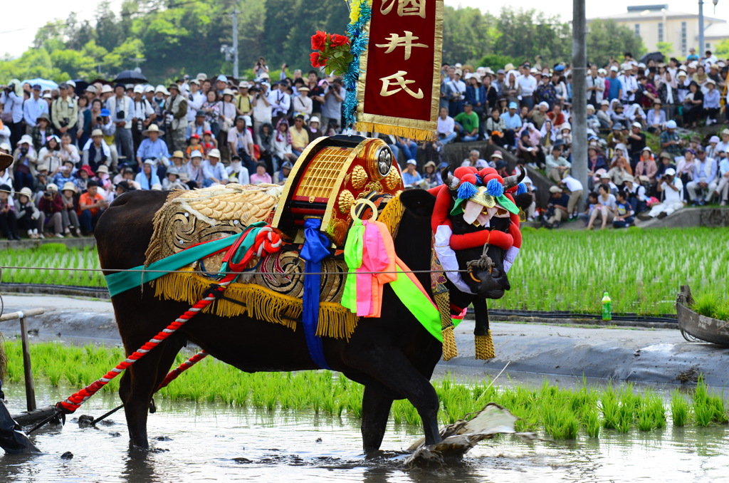 飾り牛
