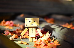 紅葉