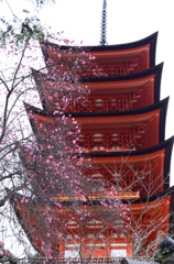 春の訪れ