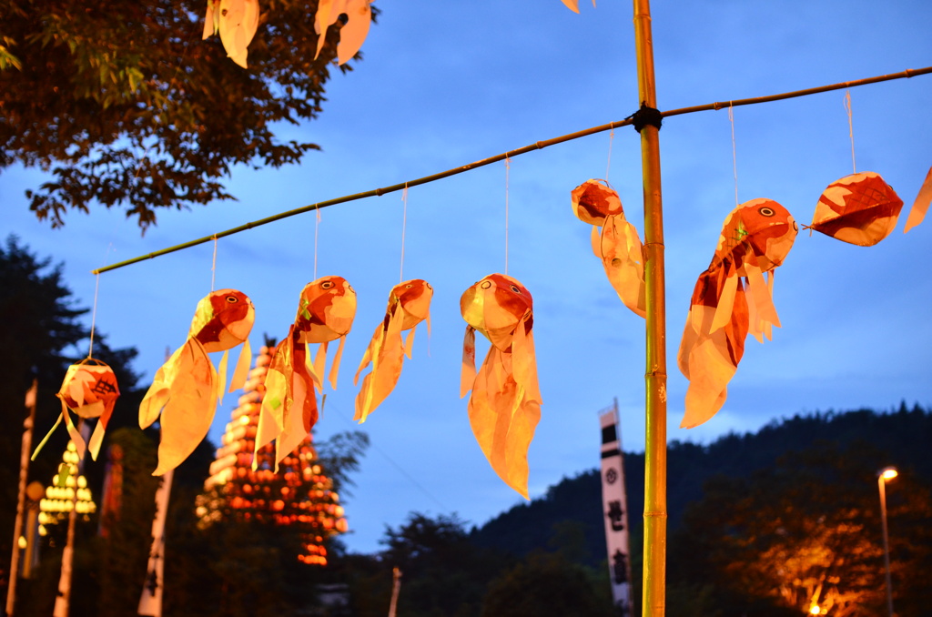 空中金魚