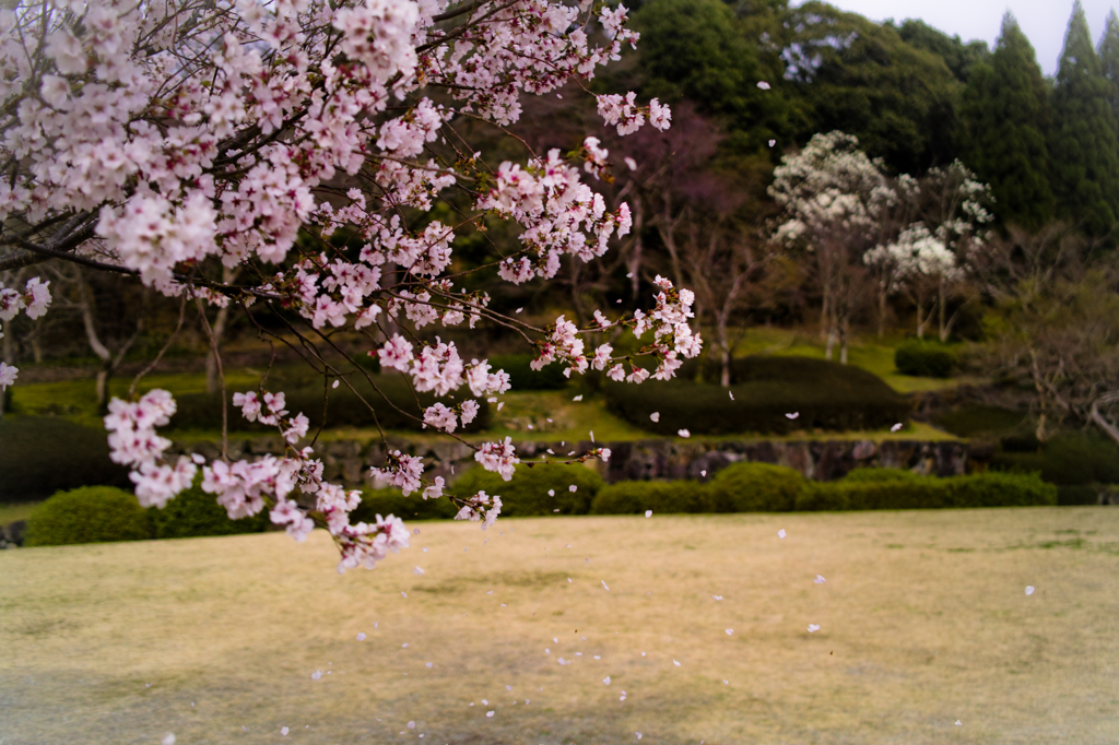 春風