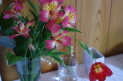 花　華道教室より　　　Flowers from a flower arrange