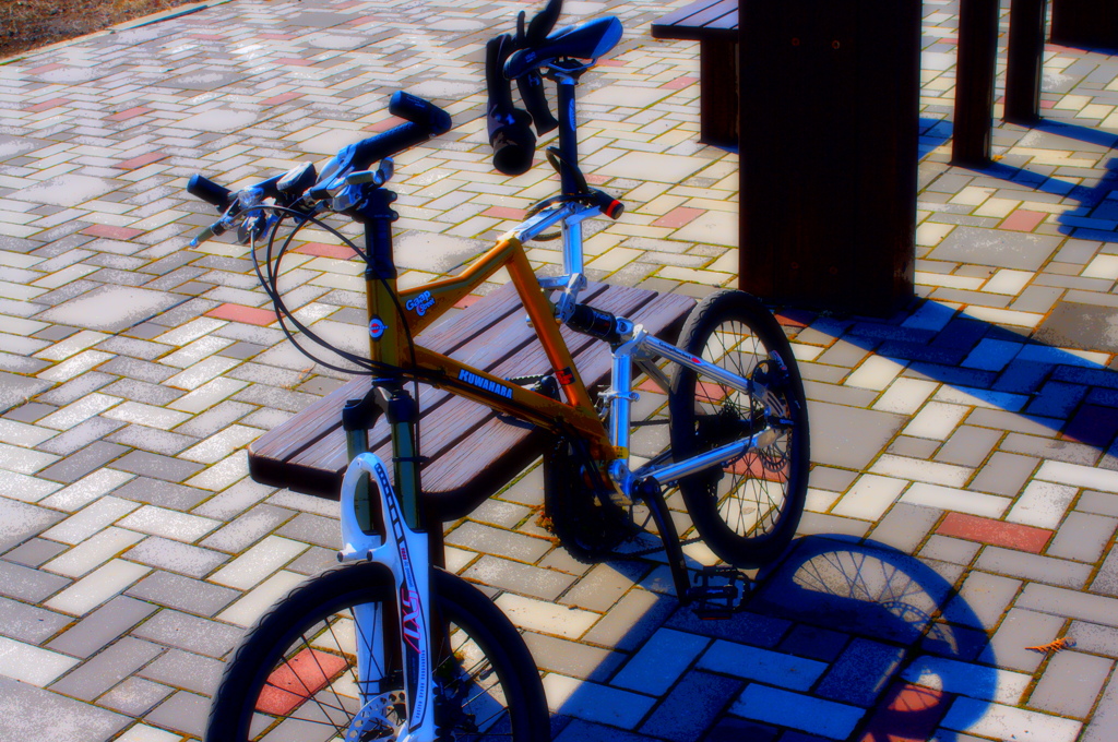 my bike