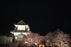 金沢城夜桜