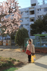 進級おめでとう
