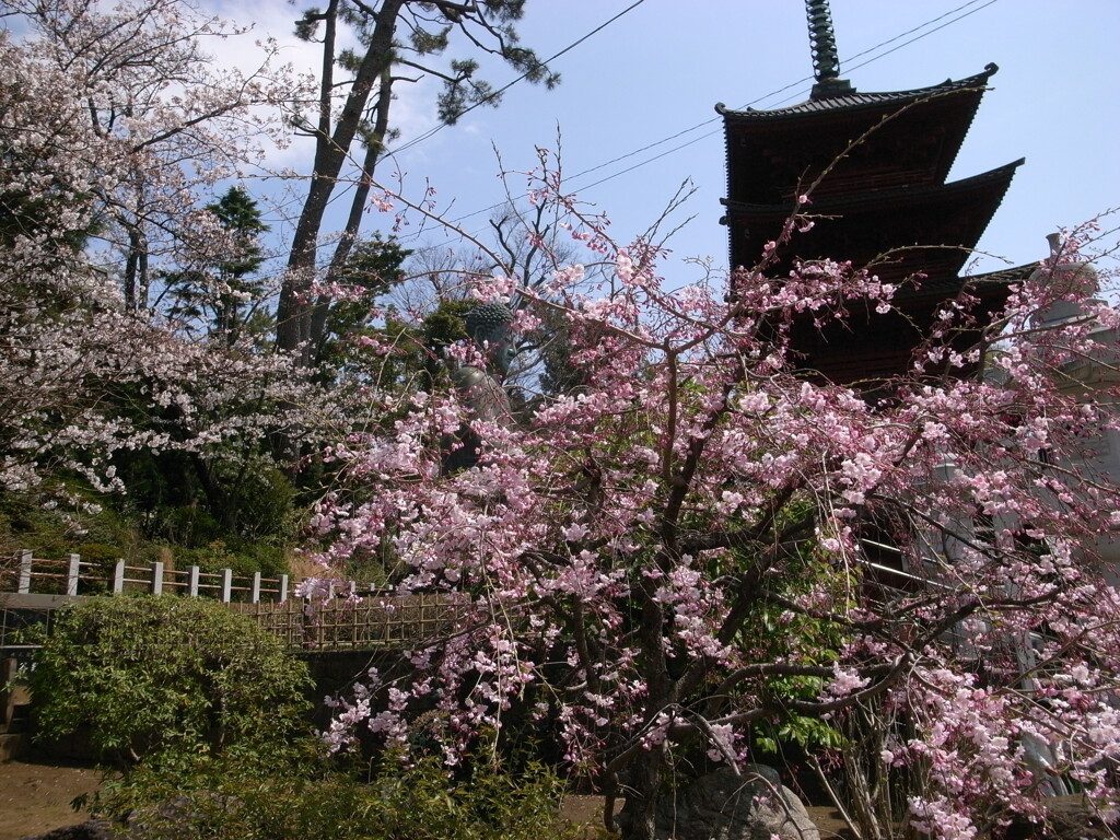法華経寺