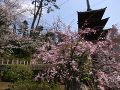 法華経寺