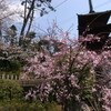 法華経寺