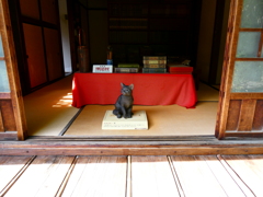 P1020614