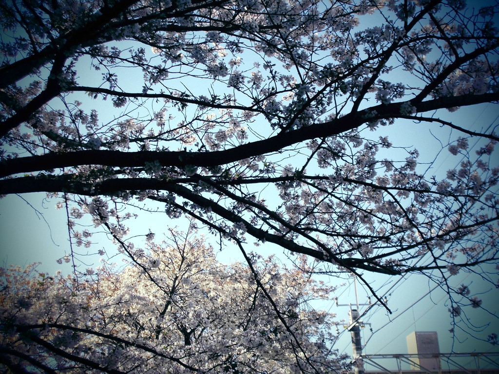 CIMG0519