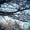 CIMG0519
