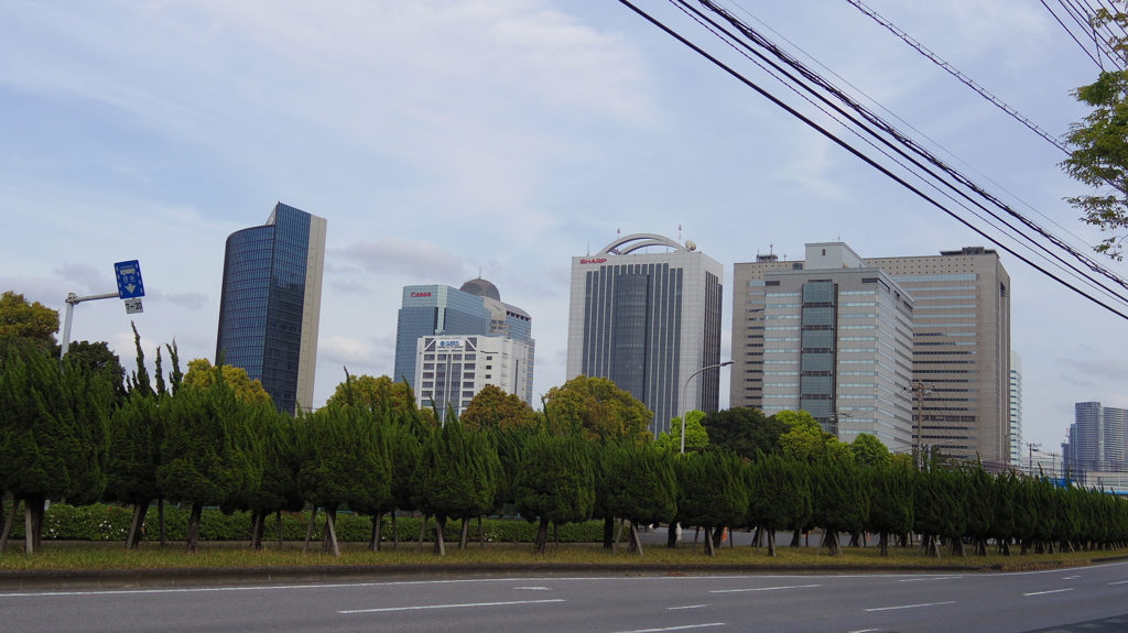 IMGP0778