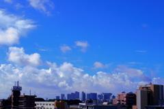 IMGP0907