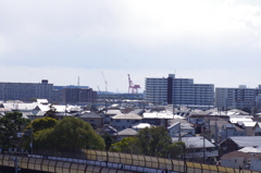 遠くに見える海のキリン