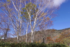 磐梯吾妻スカイライン