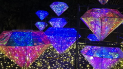 グランイルミ2025