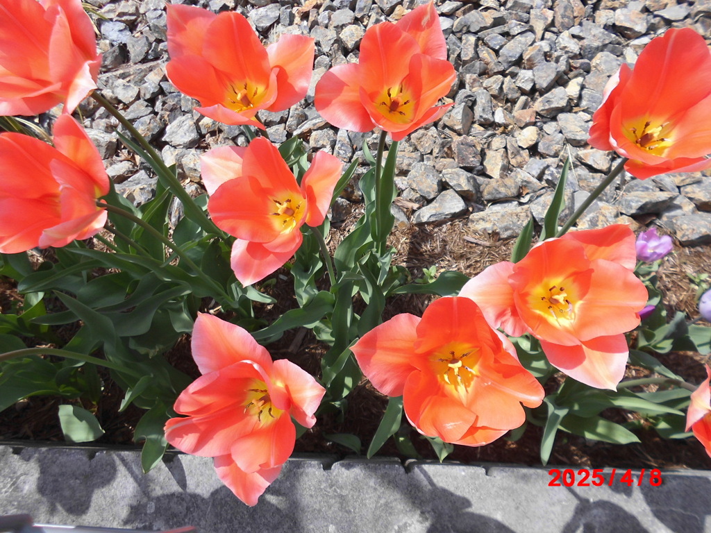 CIMG0488