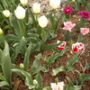 DSCN0975