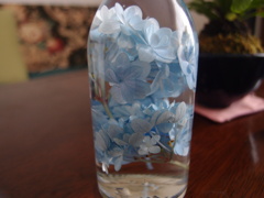P6260309