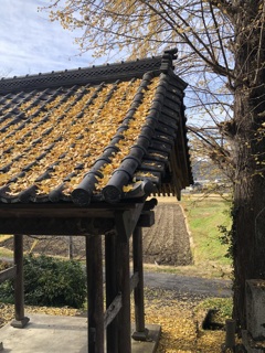 お寺の山門