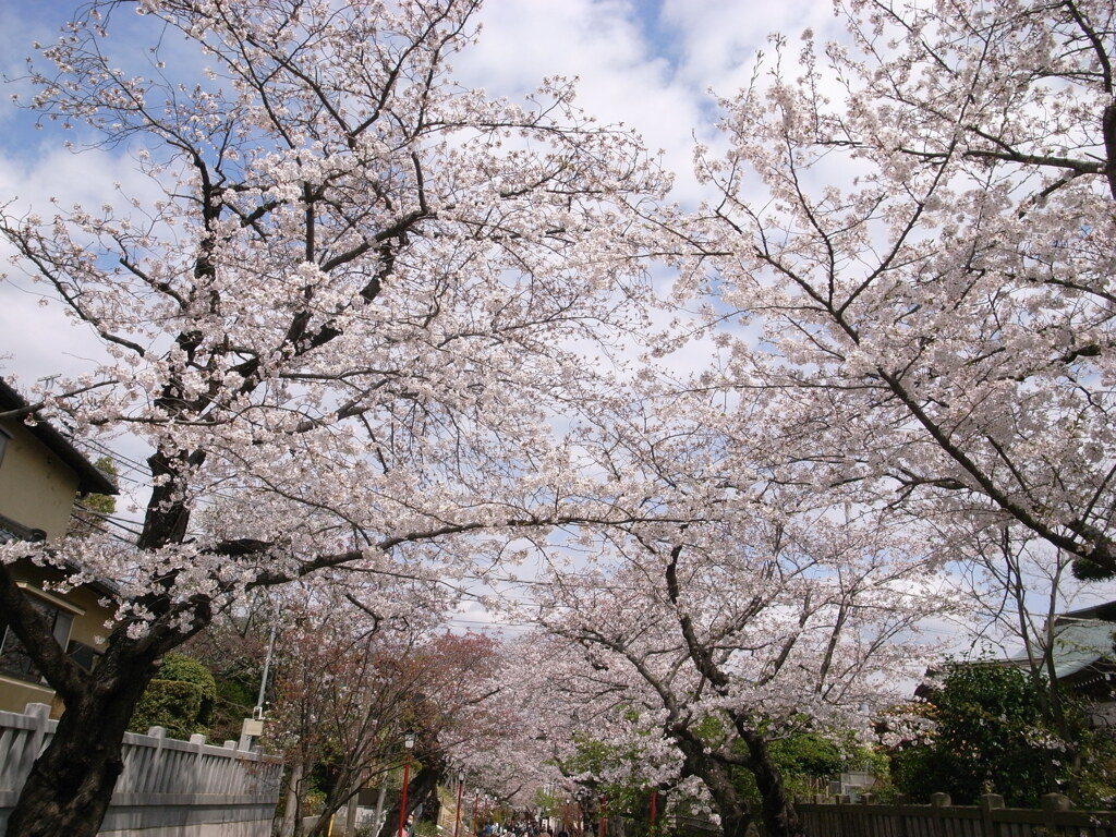 法華経寺