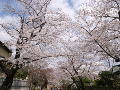法華経寺