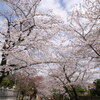 法華経寺