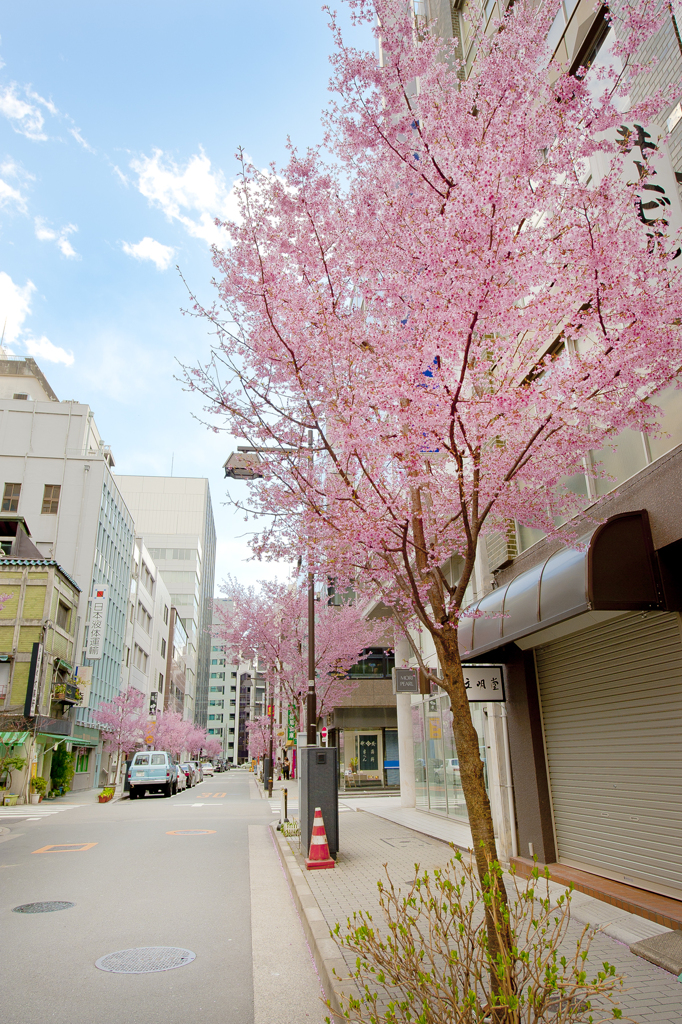 日本橋室町