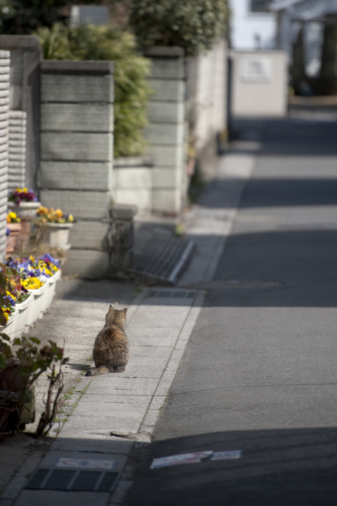 うしろ姿