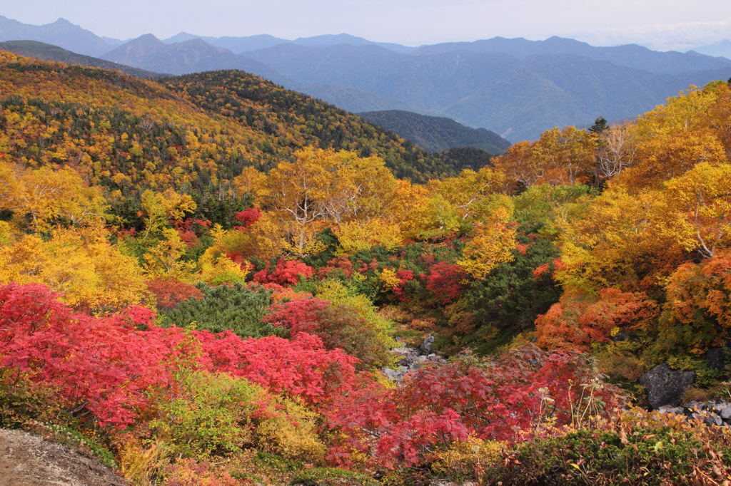 乗鞍の紅葉